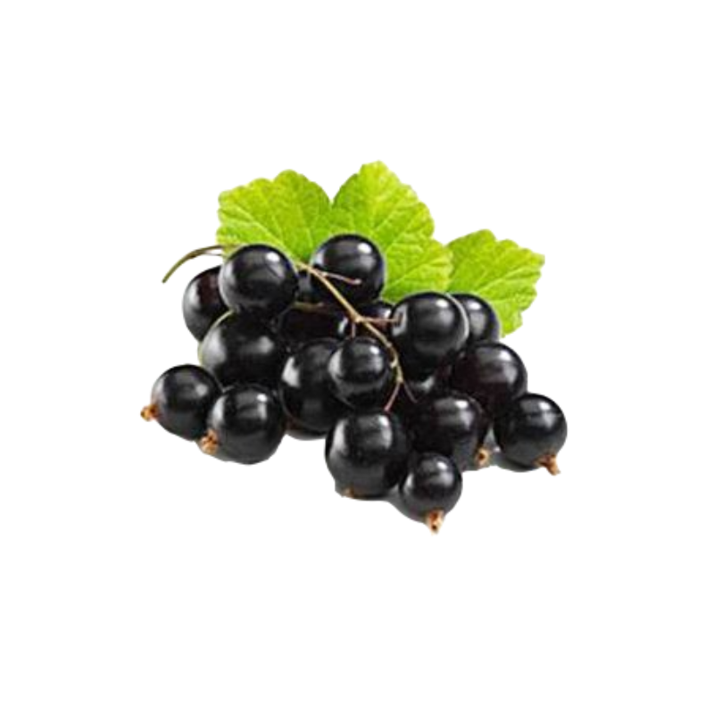 Смородина чорна свіжа, першого товарного сорту, ДСТУ 8319, 1 кг